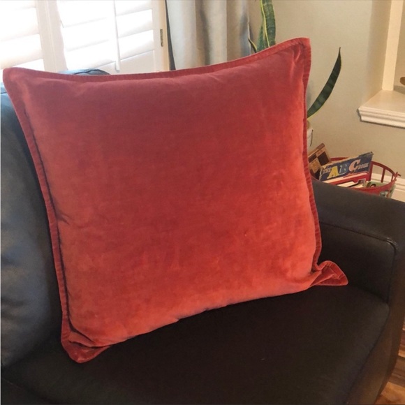 Pottery Barn Accents Pottery Barn Velvet 24 Euro Pillow Cover